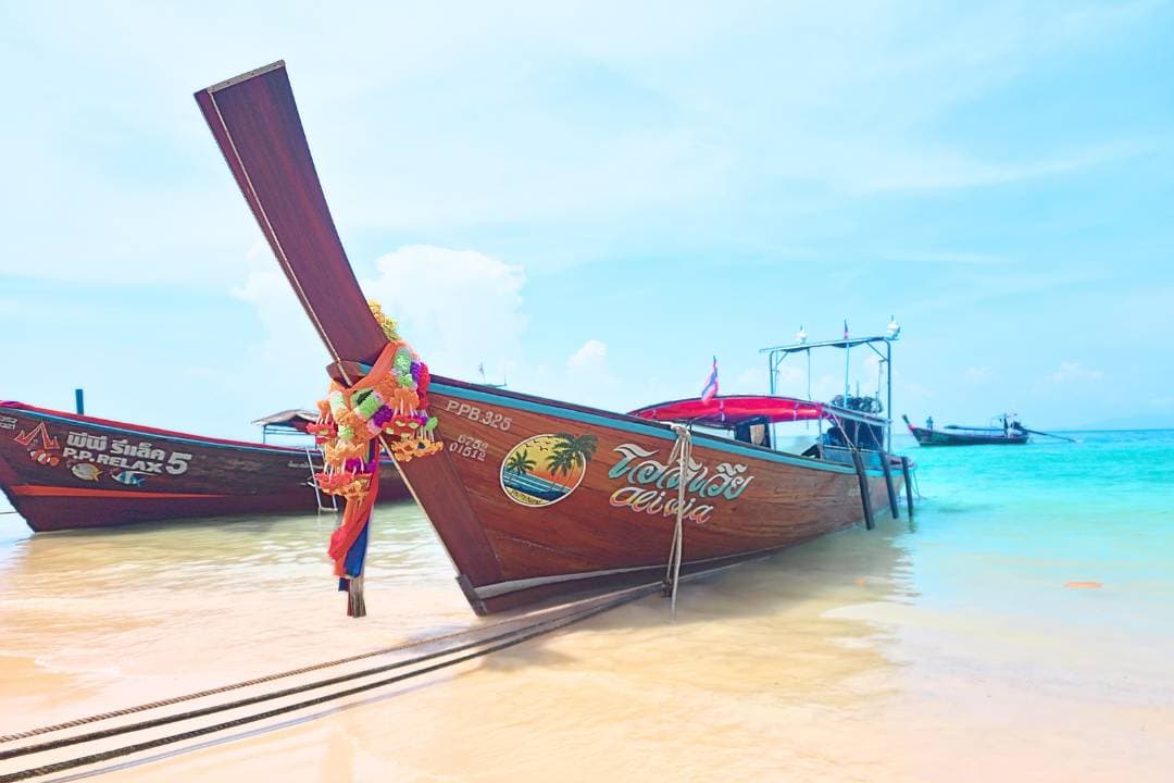 Phi Phi Island 4 Hour Private Longtail Boat Tour