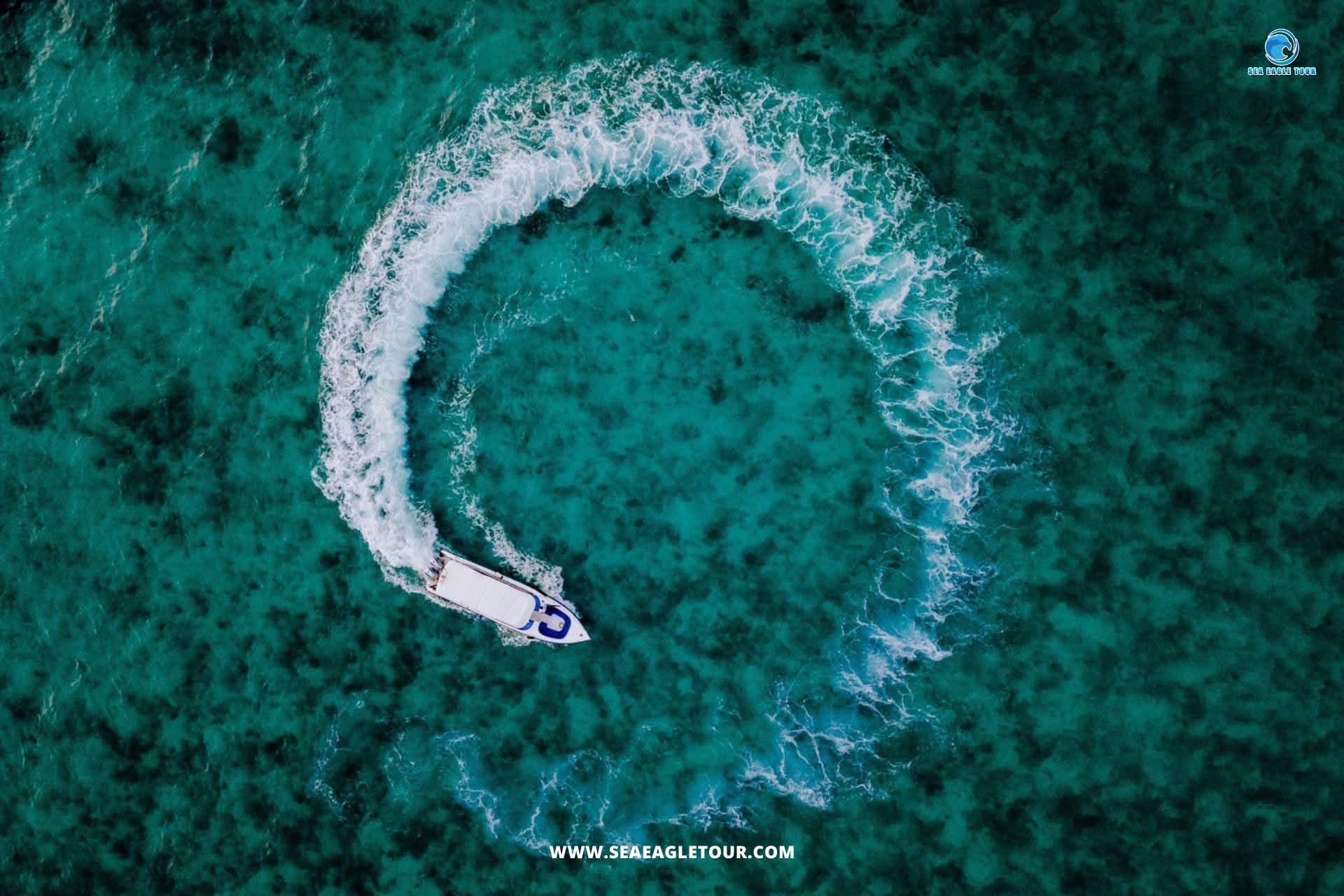 Phi Phi & Bamboo Island One Day Speedboat Tour From Krabi showcase 4