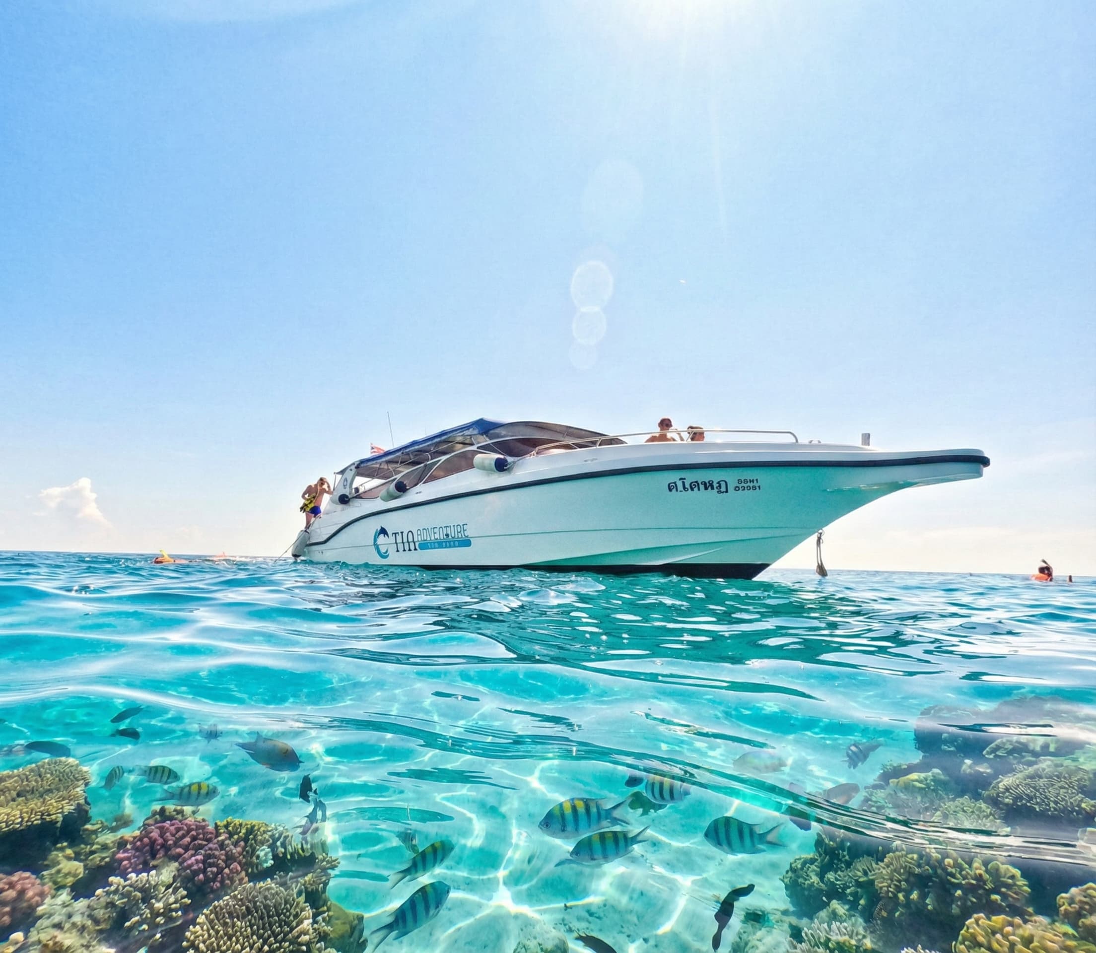 Koh Rok & Koh Haa Full Day Speedboat Tour & Snorkeling From Koh Lanta