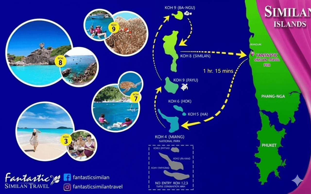 Similan Islands Premium Shared Speedboat Tour From Phuket showcase 3