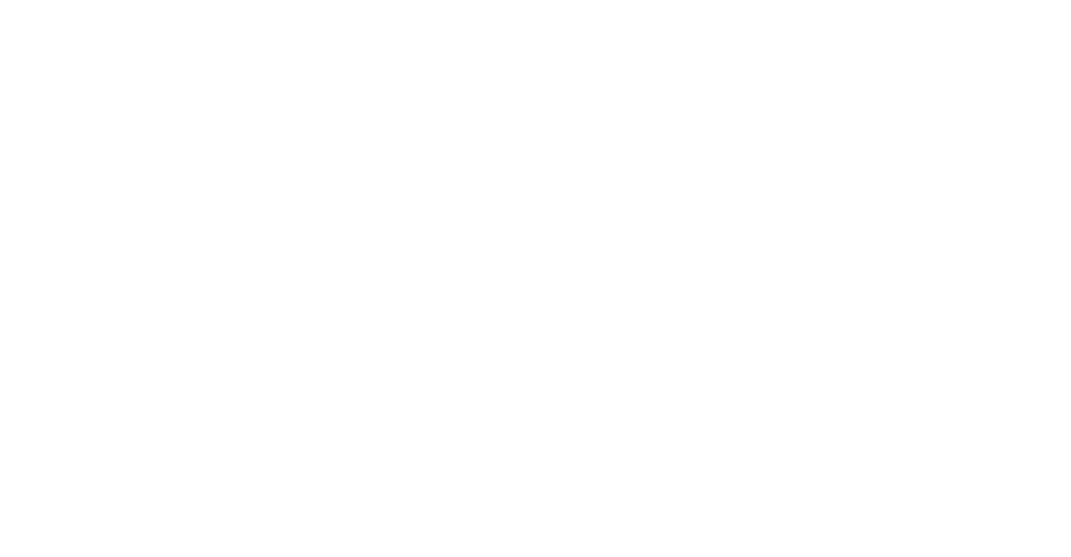 Sawanu Travel logo