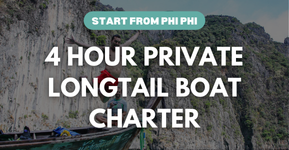 3 hours private longtail boat charter private booking phi phi island boat tour