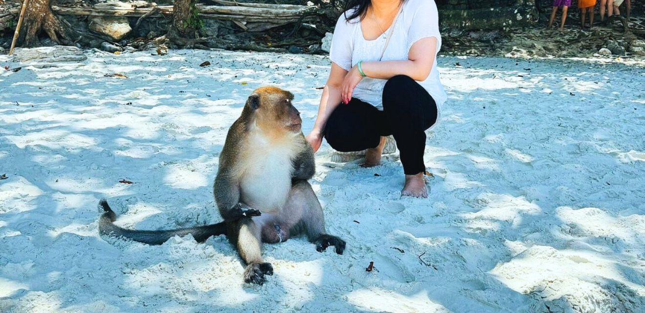 monkey beach koh phi phi island sitting monkey