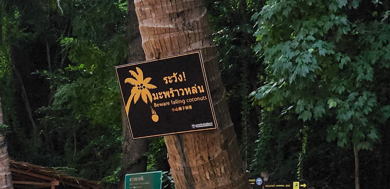 koh lao lading hong island tour coconut tree with sign