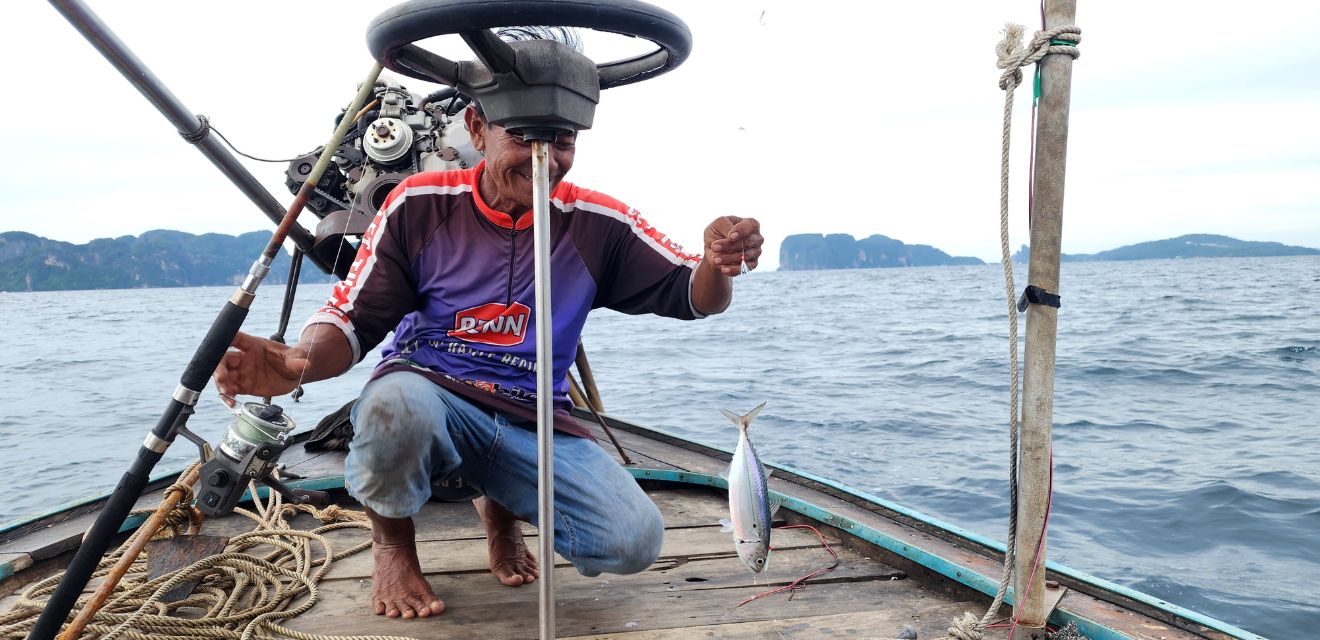 live bait phi phi island thailand fishing tour