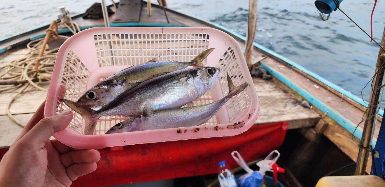 mackerel fishing trip koh phi phi Thailand andaman sea