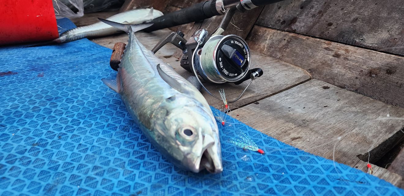 tuna phi phi island fishing trip longtail boat